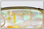 SGプラスアンドロイド180 夜光貝モデル 夜光鮎　詳細イメージ
