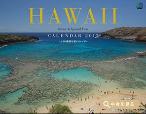 「SECRET HAWAII」エイ スタイル・カレンダー2015